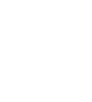 Logo for Crucial Human